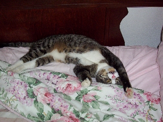 tireddoug.jpg